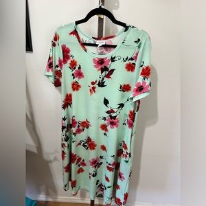 LulaRoe- mint green floral dress size large
